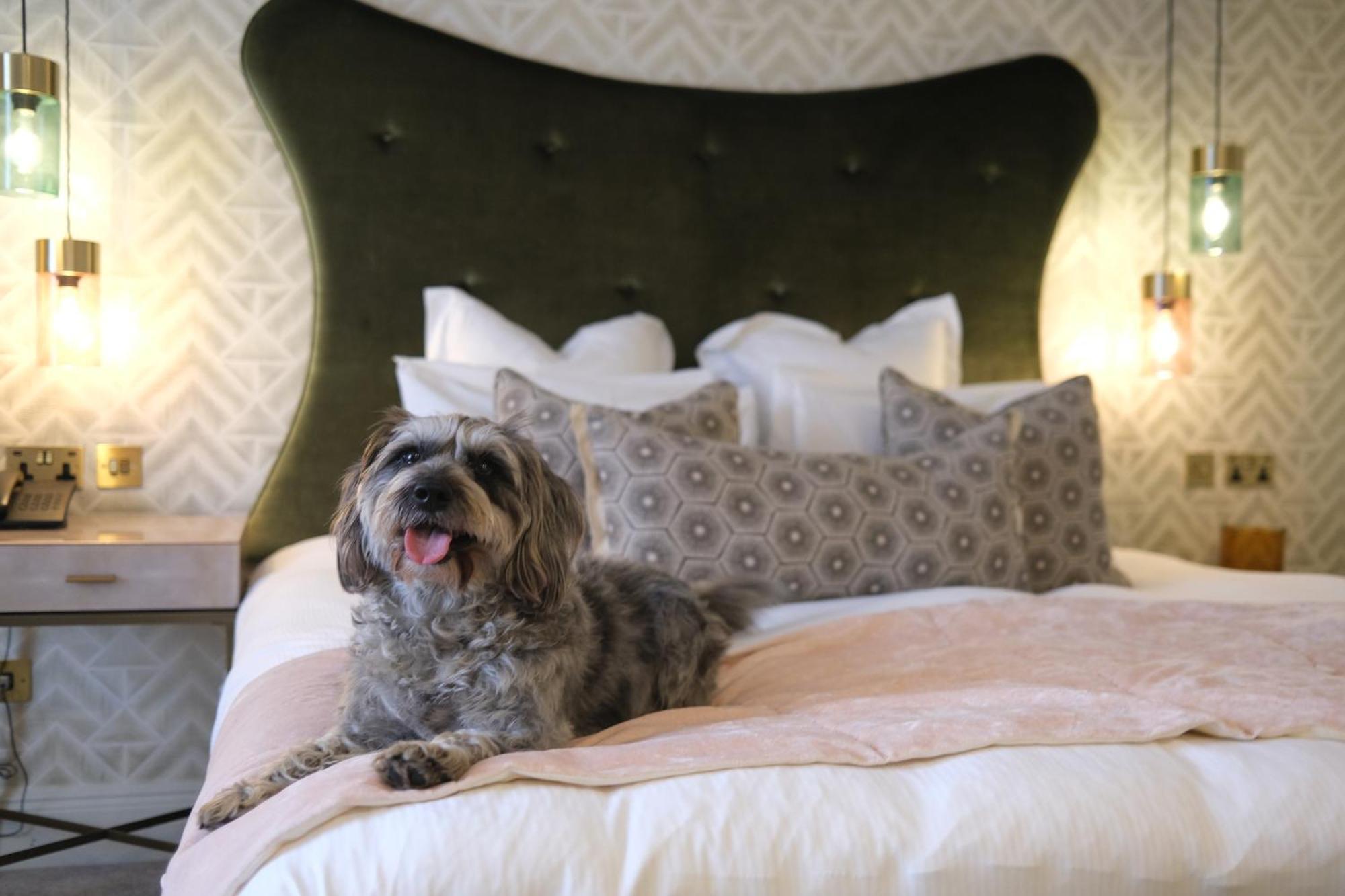 Gonville Hotel Cambridge  Ngoại thất bức ảnh